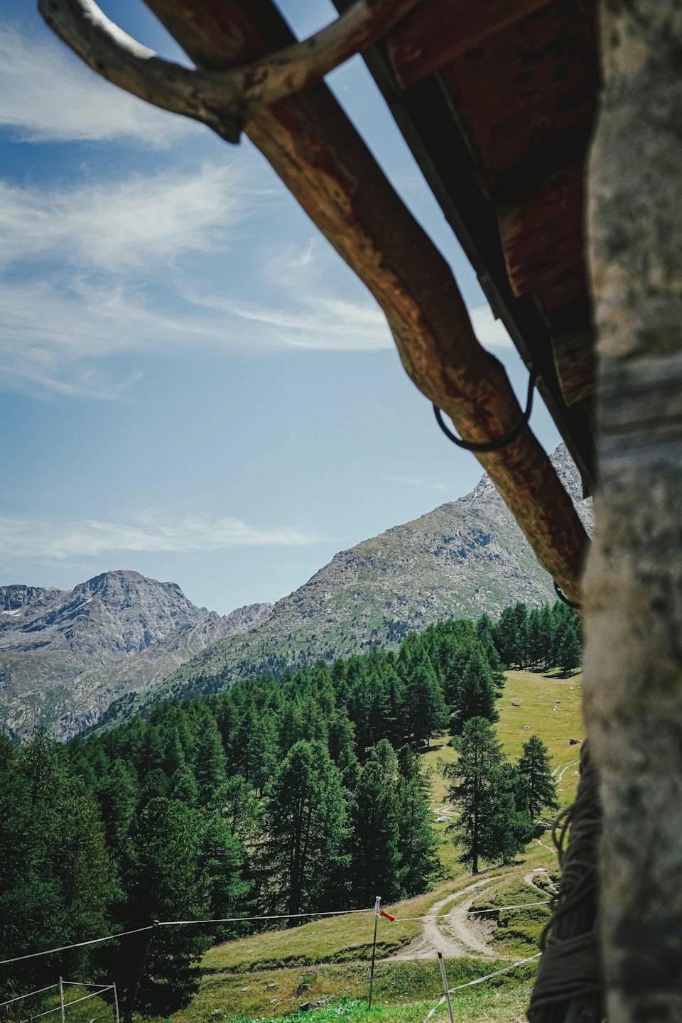 Wooden viewpoint overlooks mountain peaks with evergreen forests and dirt path.