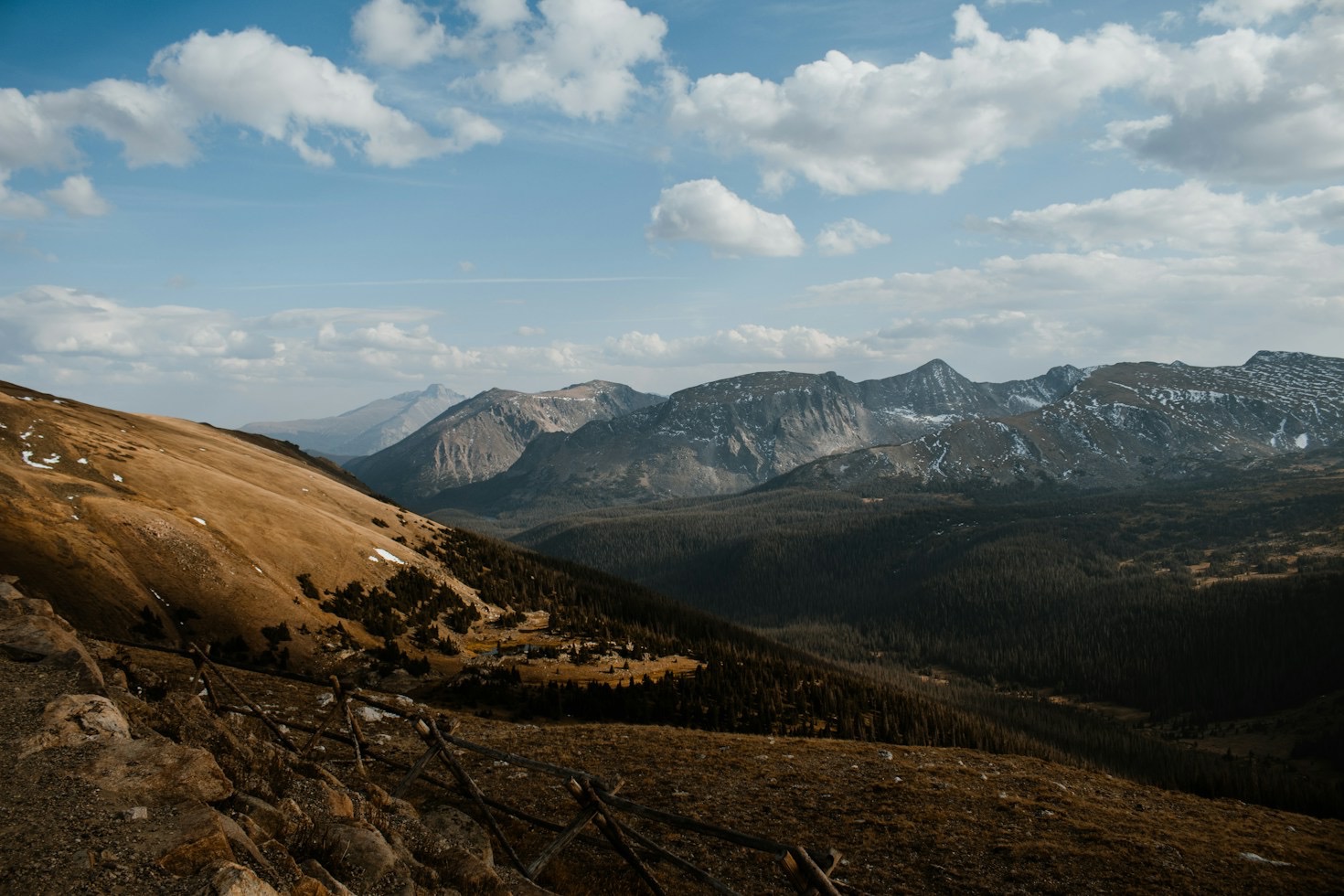Whistle Commands and Upland Field Discipline Made Simple